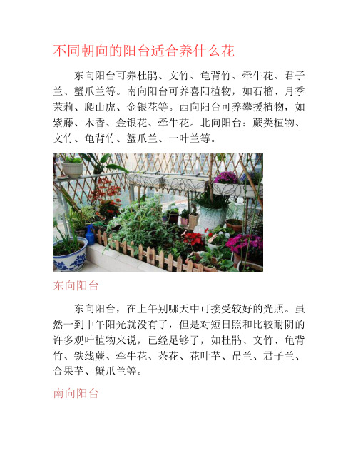 不同朝向的阳台适合养什么花-养花技巧