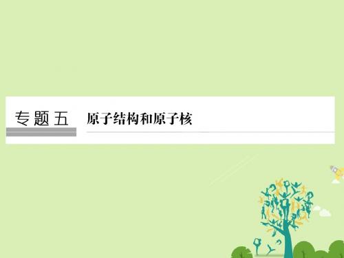 高考物理二轮复习 专题五 原子结构和原子核课件