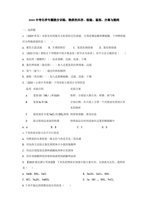 2024中考化学专题提分训练：物质的共存、检验、鉴别、分离与提纯