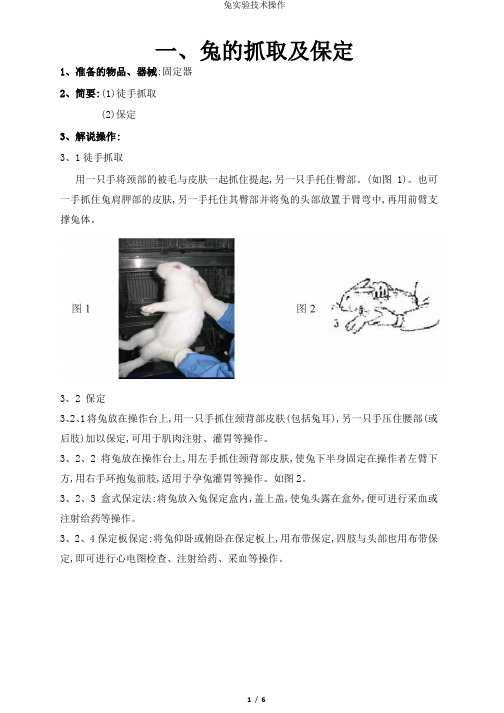 兔实验技术操作