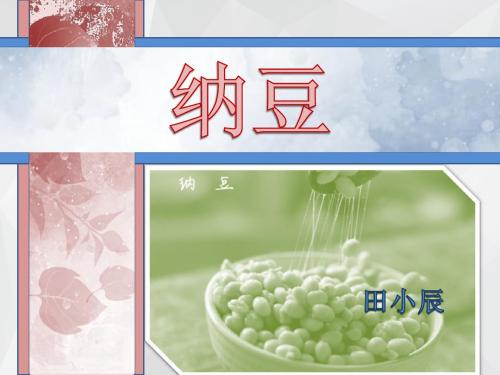 纳豆