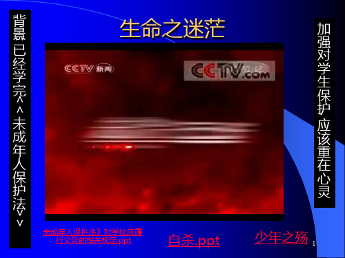 生命教育讲授PPT课件