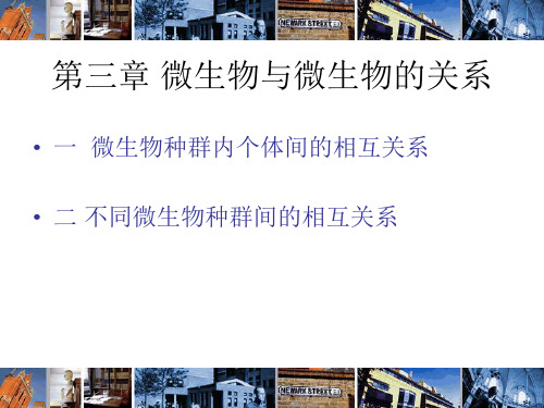 第三章 微生物与微生物的关系