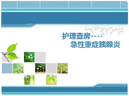 急性重症胰腺炎护理PPT课件