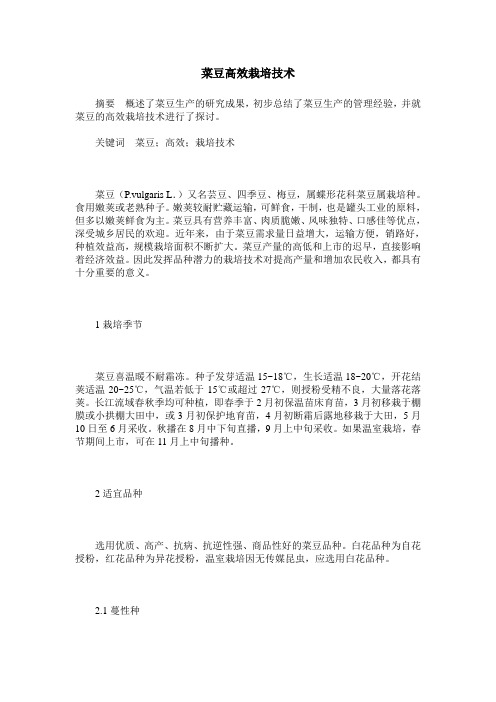菜豆高效栽培技术