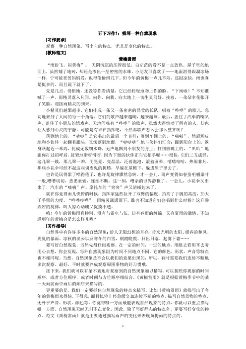 苏教版五年级下册习作教案及例文  很有价值