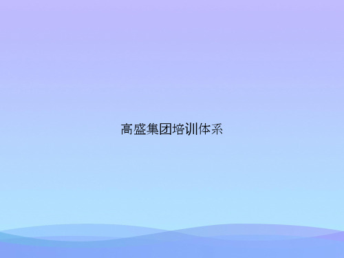 高盛集团培训体系2021优秀PPT