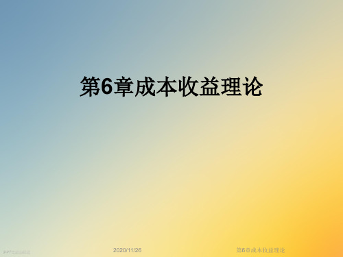 第6章成本收益理论