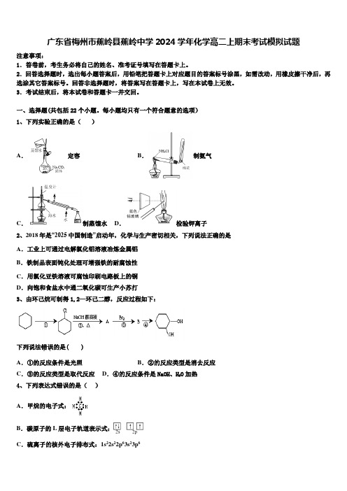 广东省梅州市蕉岭县蕉岭中学2024学年化学高二上期末考试模拟试题含解析