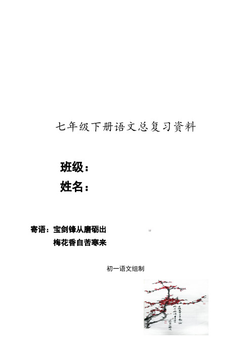 人版部编七年级下册语文总复习资料全
