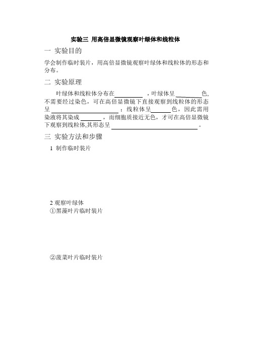 线粒体和叶绿体实验报告