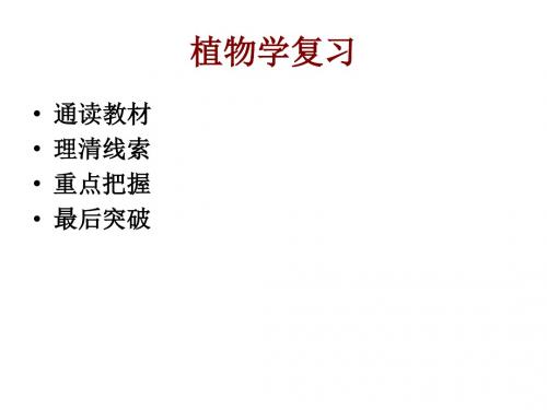 植物学总复习