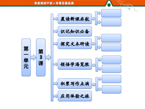 高中语文第一单元   第3课   老人与海优秀课件