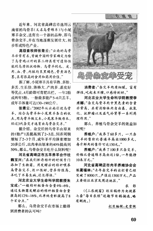 乌骨杂交羊受宠