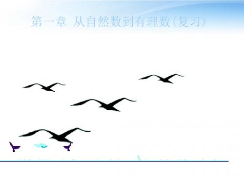 从自然数到有理数复习ppt3 浙教版