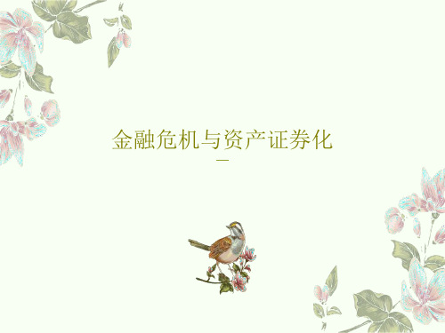 金融危机与资产证券化45页PPT