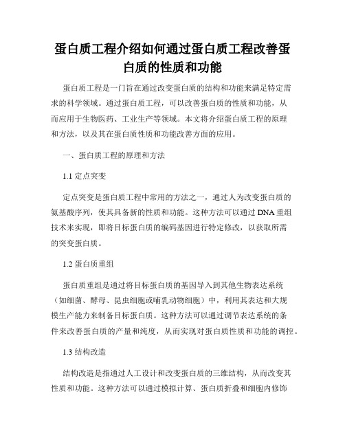 蛋白质工程介绍如何通过蛋白质工程改善蛋白质的性质和功能