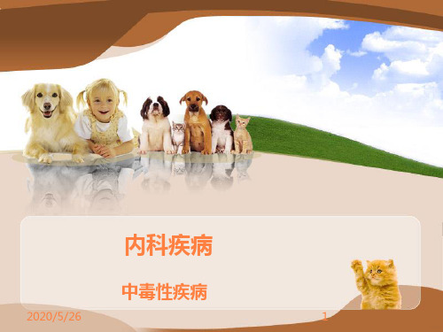 中毒性疾病课件PPT课件