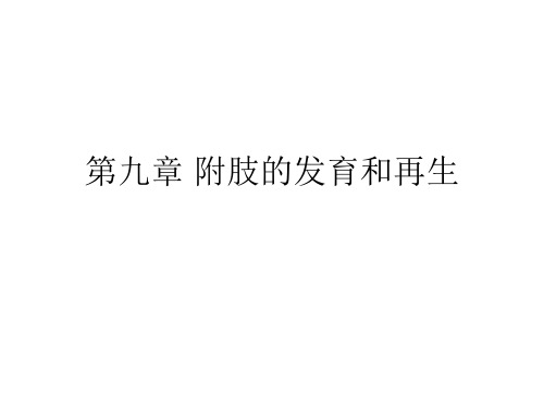 附肢的发育和再生