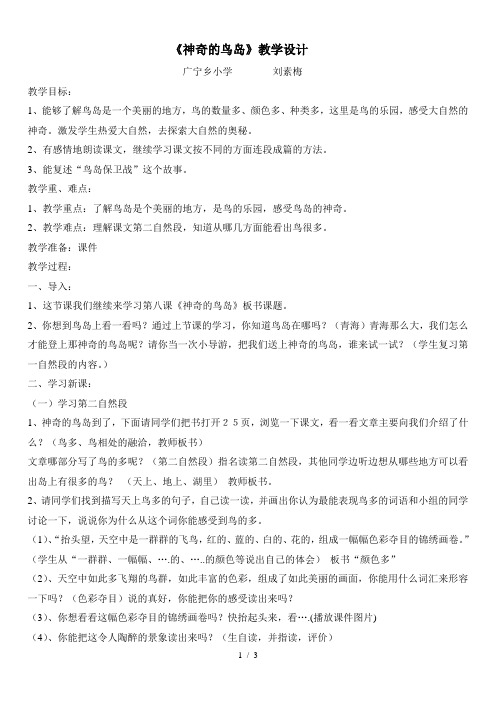 神奇的鸟岛