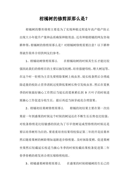 柑橘树的修剪原则是？