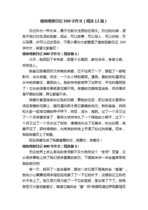 植物观察日记300字作文（精选12篇）