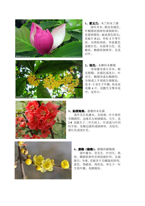 种子植物学