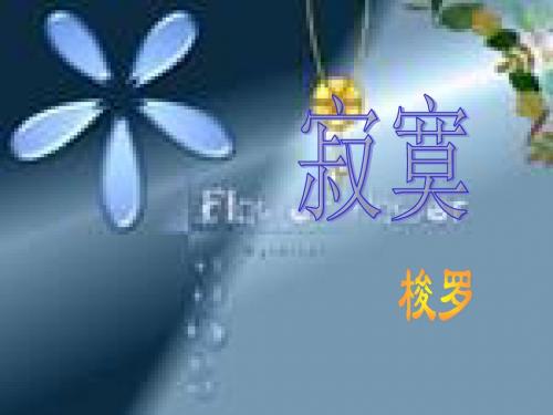 【高中语文】寂寞ppt7