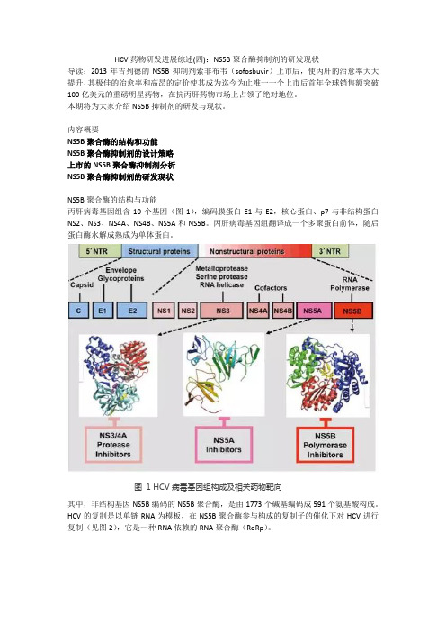 HCV药物研发进展综述(四)：NS5B聚合酶抑制剂的研发现状