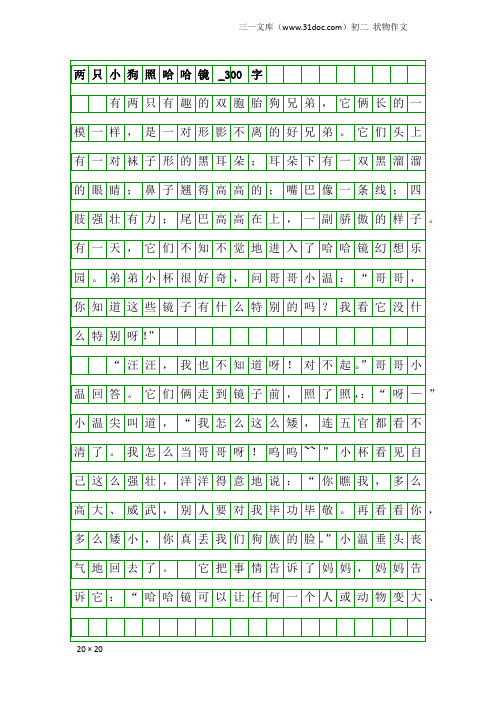 初二状物作文：两只小狗照哈哈镜_300字