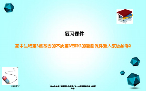 高中生物第3章基因的本质第3节DNA的复制课件新人教版必修2