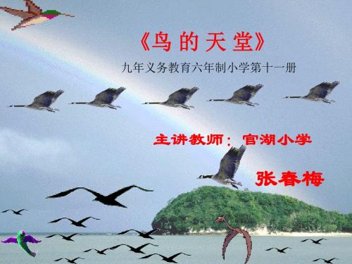 九年义务教育六年制小学第十一册讲解