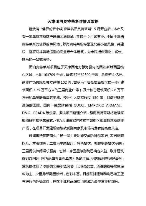 天津团泊奥特莱斯详情及数据