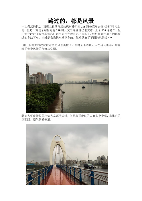 猎德大桥-广州塔-磨碟沙公园旅游路线(广州旅游攻略,到处都是大城市的气息)