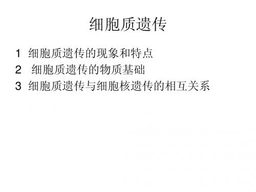 5 细胞质遗传
