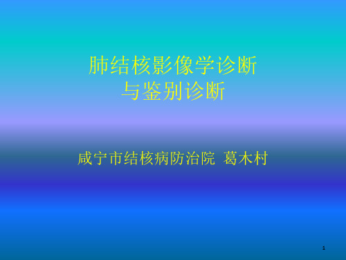 肺结核影像学的鉴别诊断