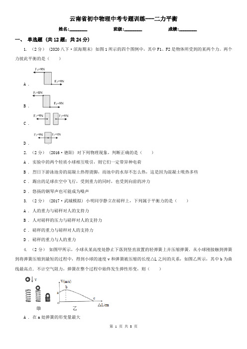 云南省初中物理中考专题训练---二力平衡