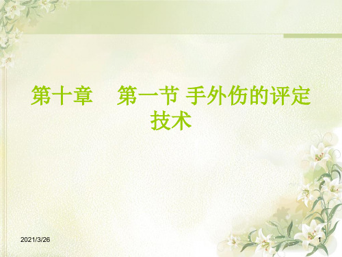《手外伤评定技术》PPT课件