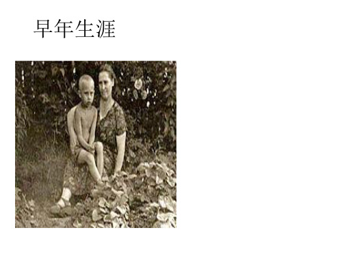 人物介绍普京44页PPT