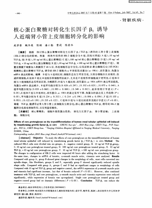 核心蛋白聚糖对转化生长因子β1诱导人近端肾小管上皮细胞转分化的影响