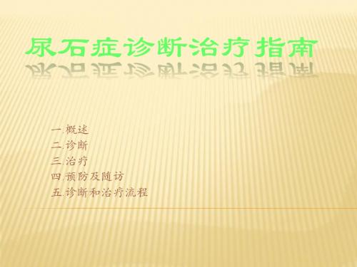 尿石症诊断治疗指南