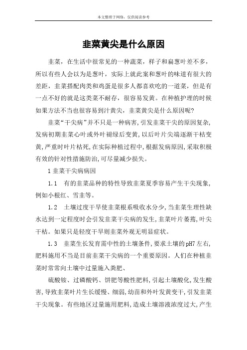 韭菜黄尖是什么原因