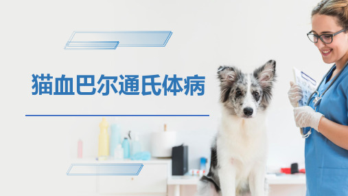 犬猫的传染病(猫血巴尔通氏体病)-宠物医生课件