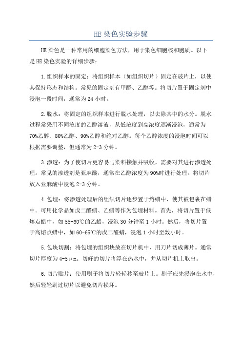 HE染色实验步骤