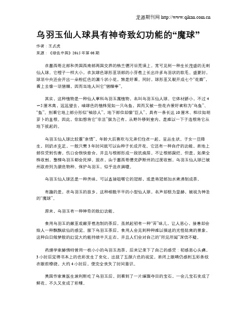乌羽玉仙人球具有神奇致幻功能的“魔球”