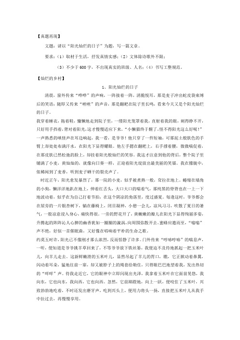 中考语文复习资料 作文评讲 阳光灿烂的日子素材