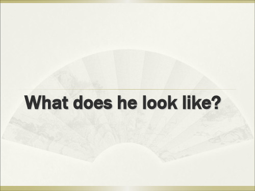 unit_1What_does_he_look_like复习课件(共18页)