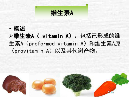 维生素A 基础营养学PPT课件