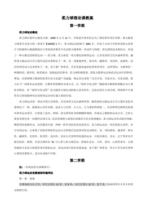 柔力球理论课教案
