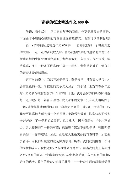 青春的征途精选作文600字